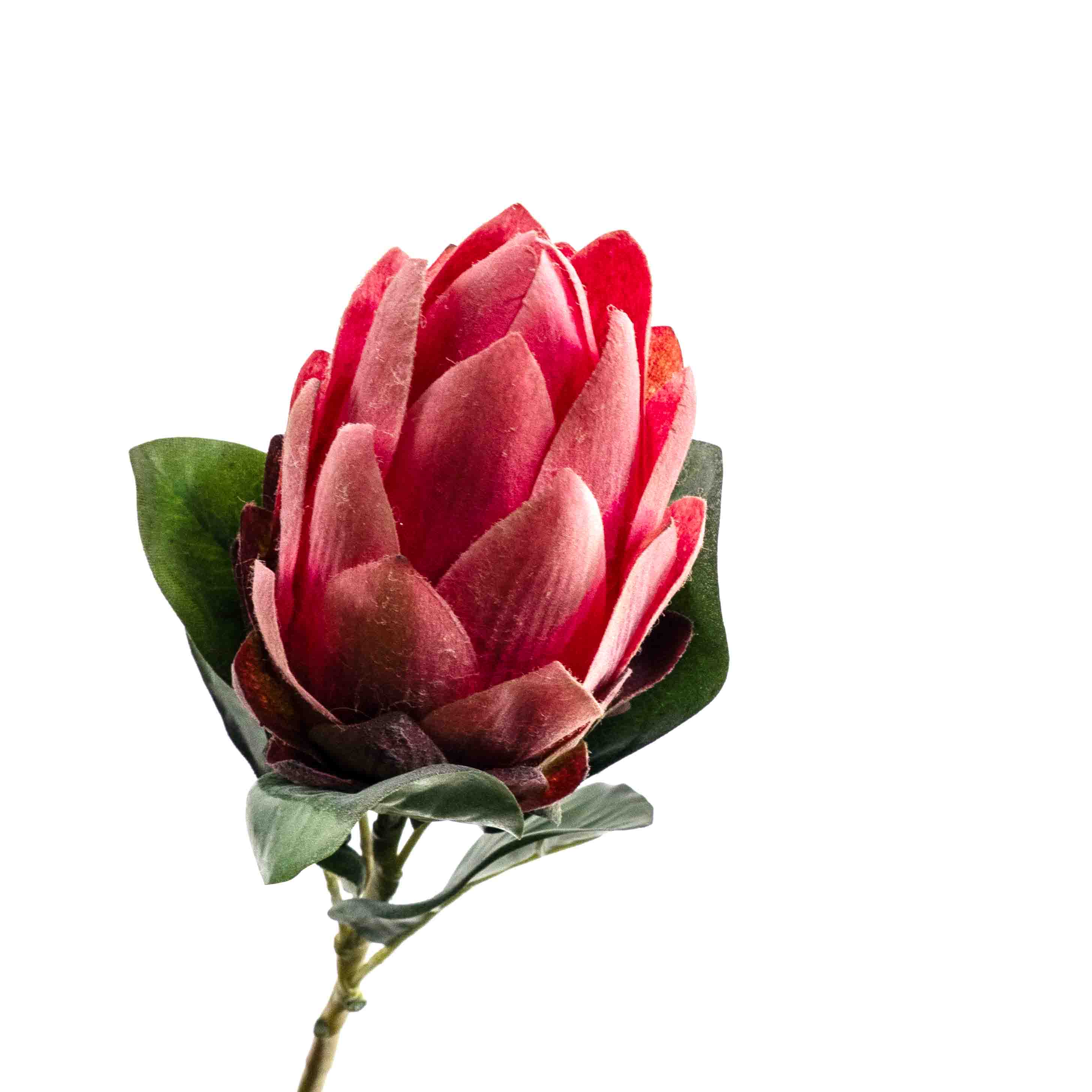 FAUX PROTEA STEM