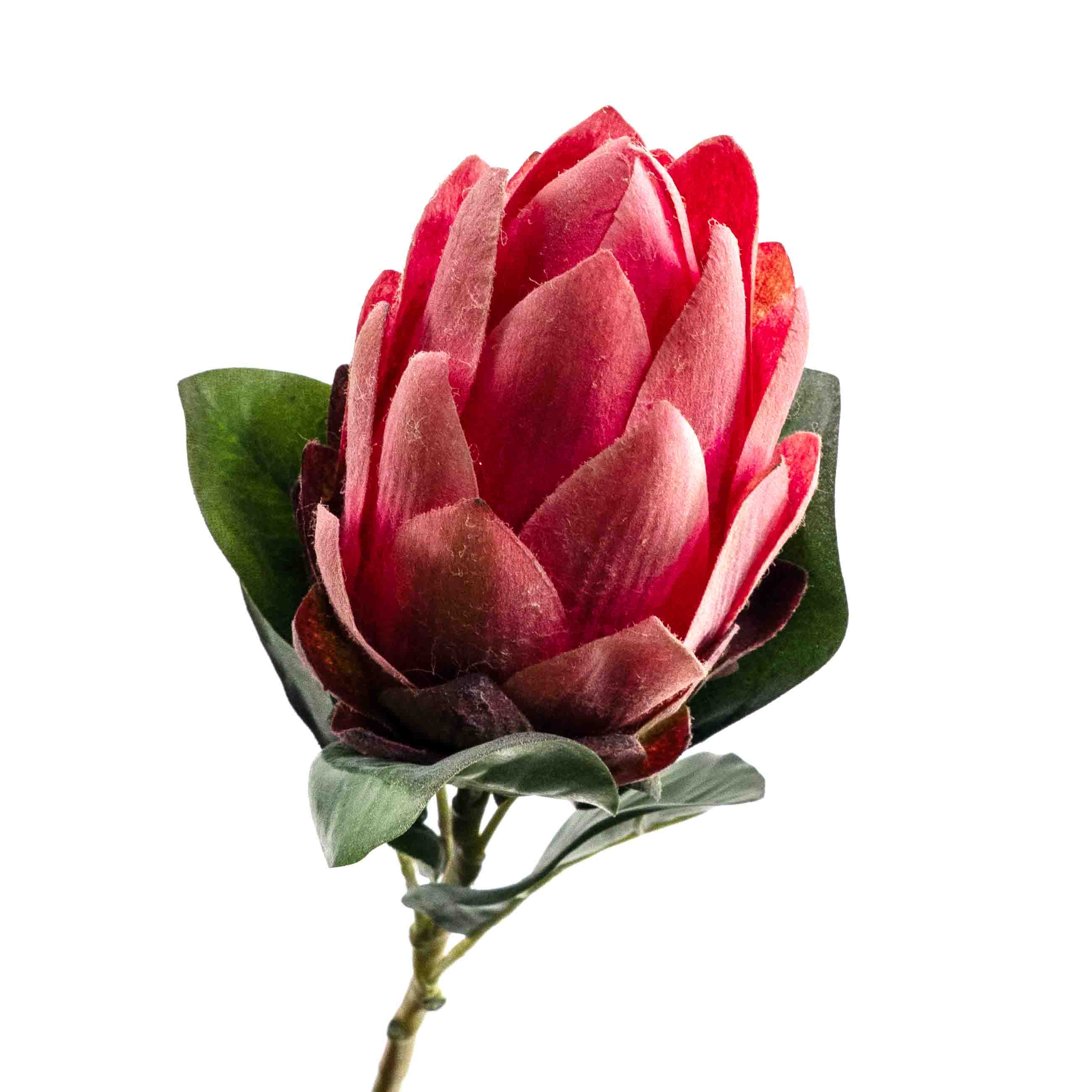 FAUX PROTEA STEM