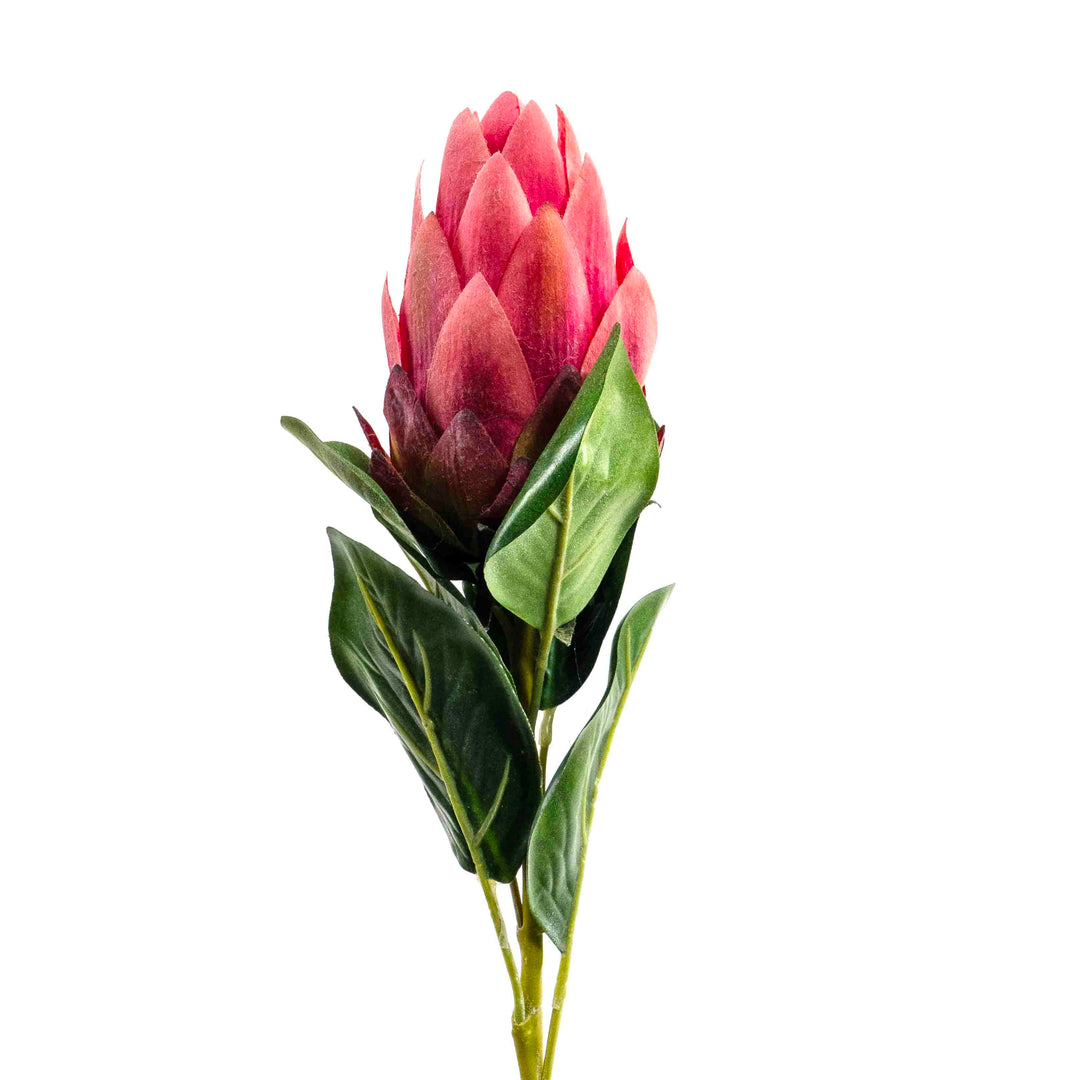 FAUX PROTEA STEM