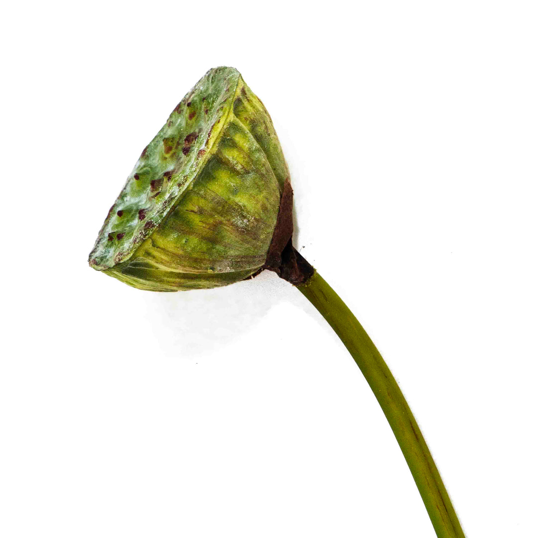 FAUX LOTUS BUD STEM