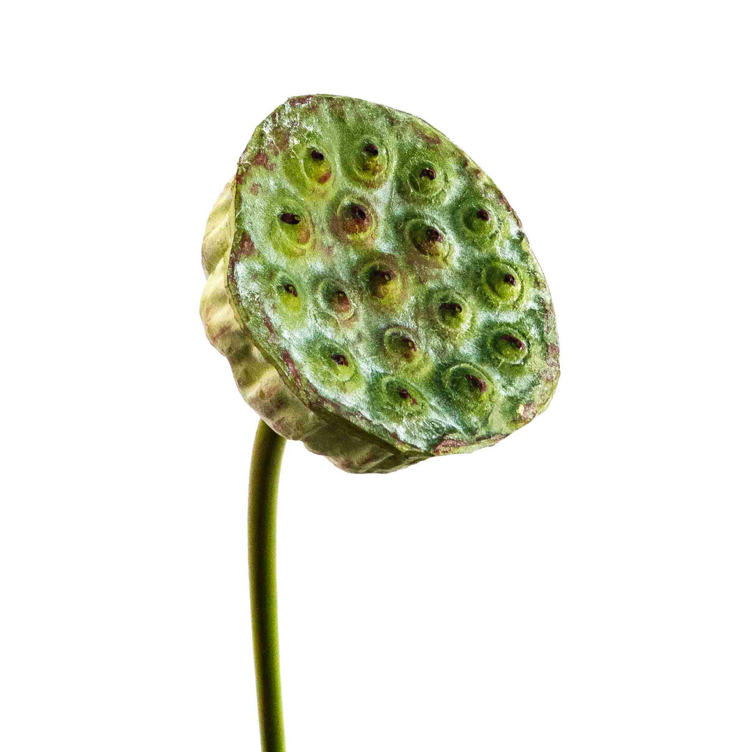 FAUX LOTUS BUD STEM