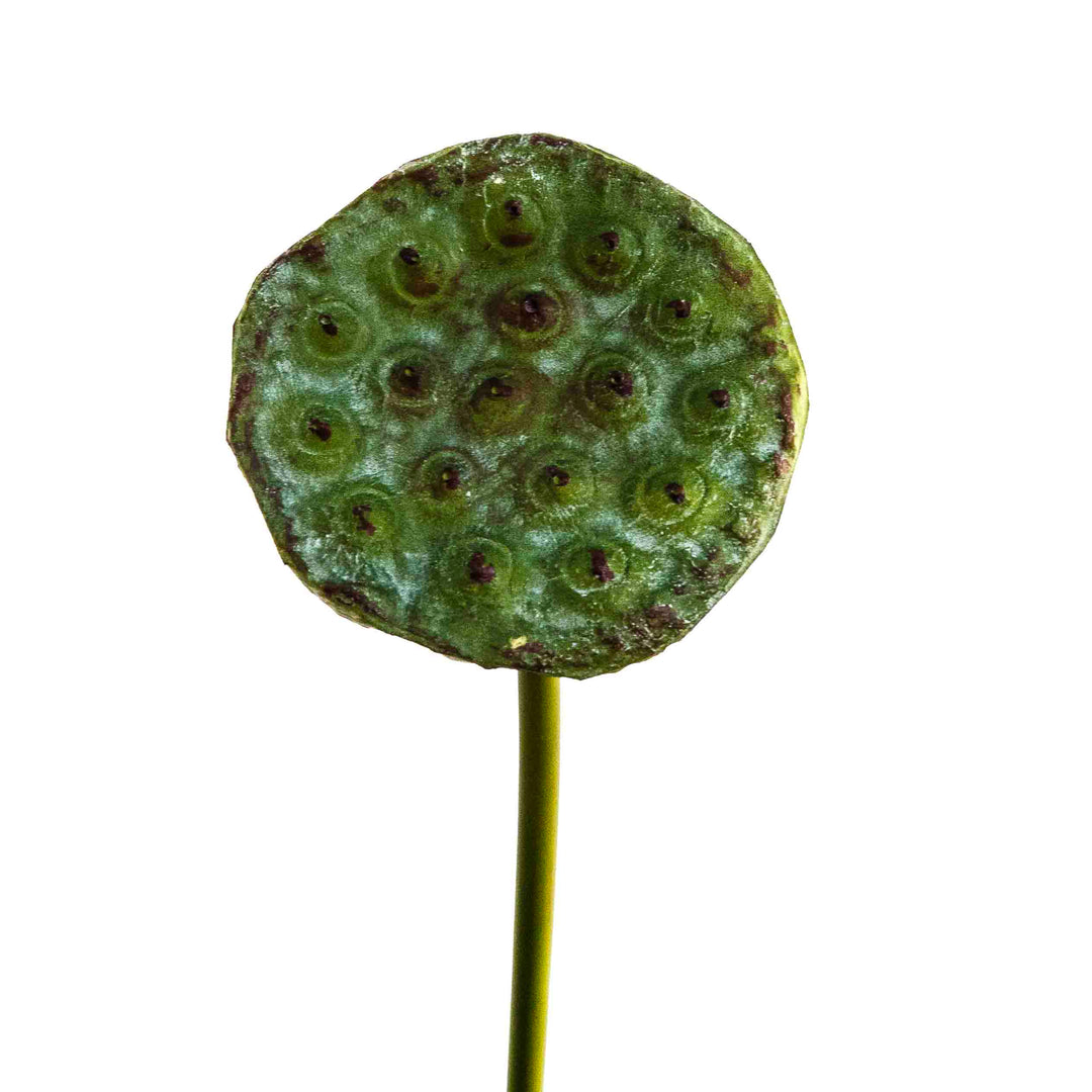 FAUX LOTUS BUD STEM