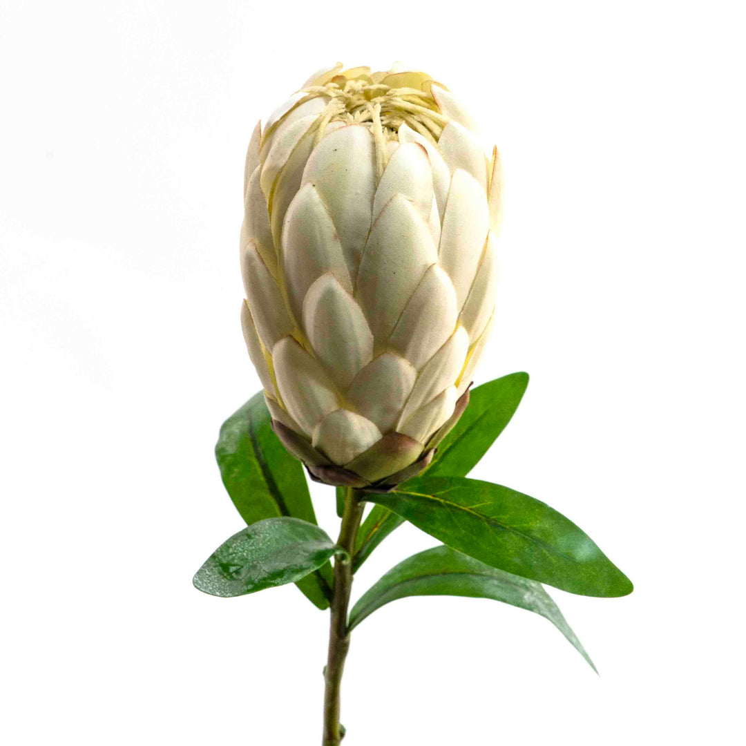FAUX PROTEA STEM