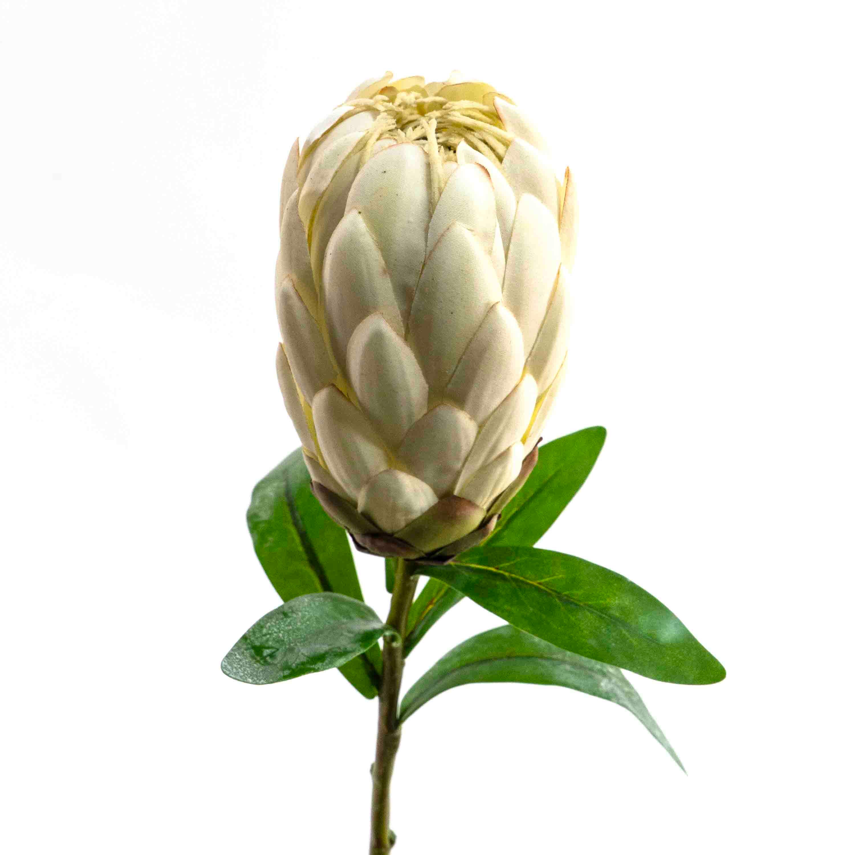FAUX PROTEA STEM
