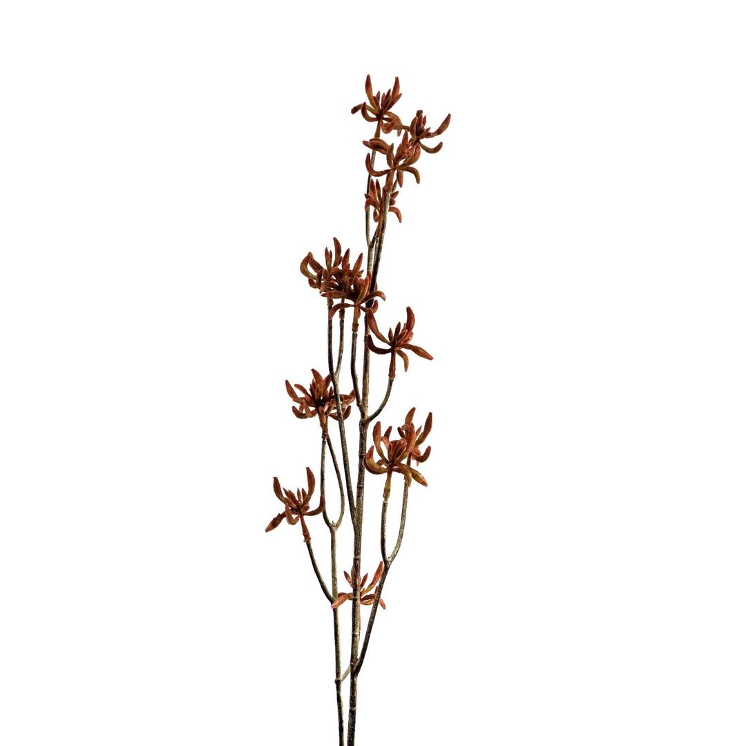 FAUX KANGAROO PAW SPRAY STEM