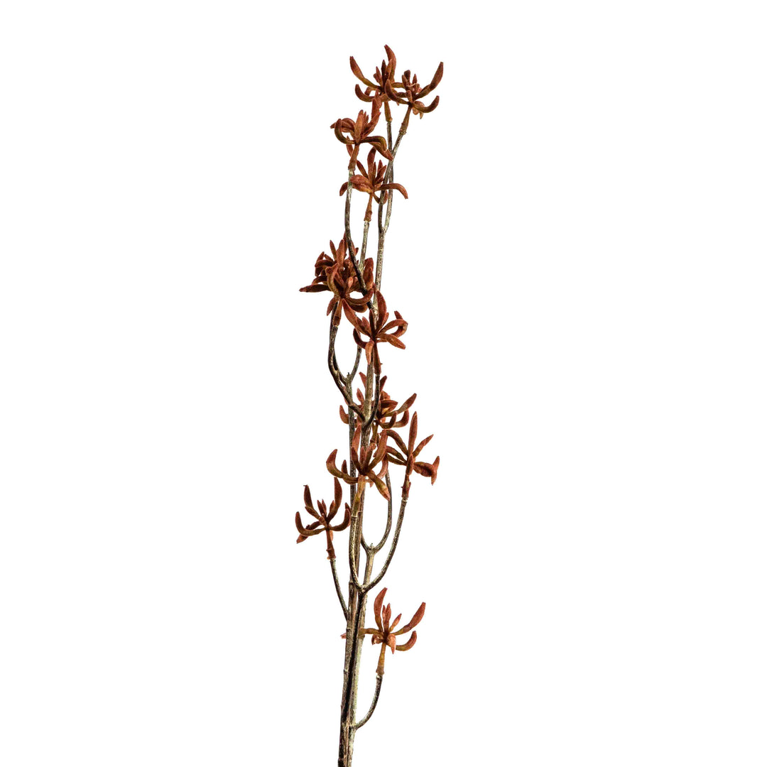 FAUX KANGAROO PAW SPRAY STEM