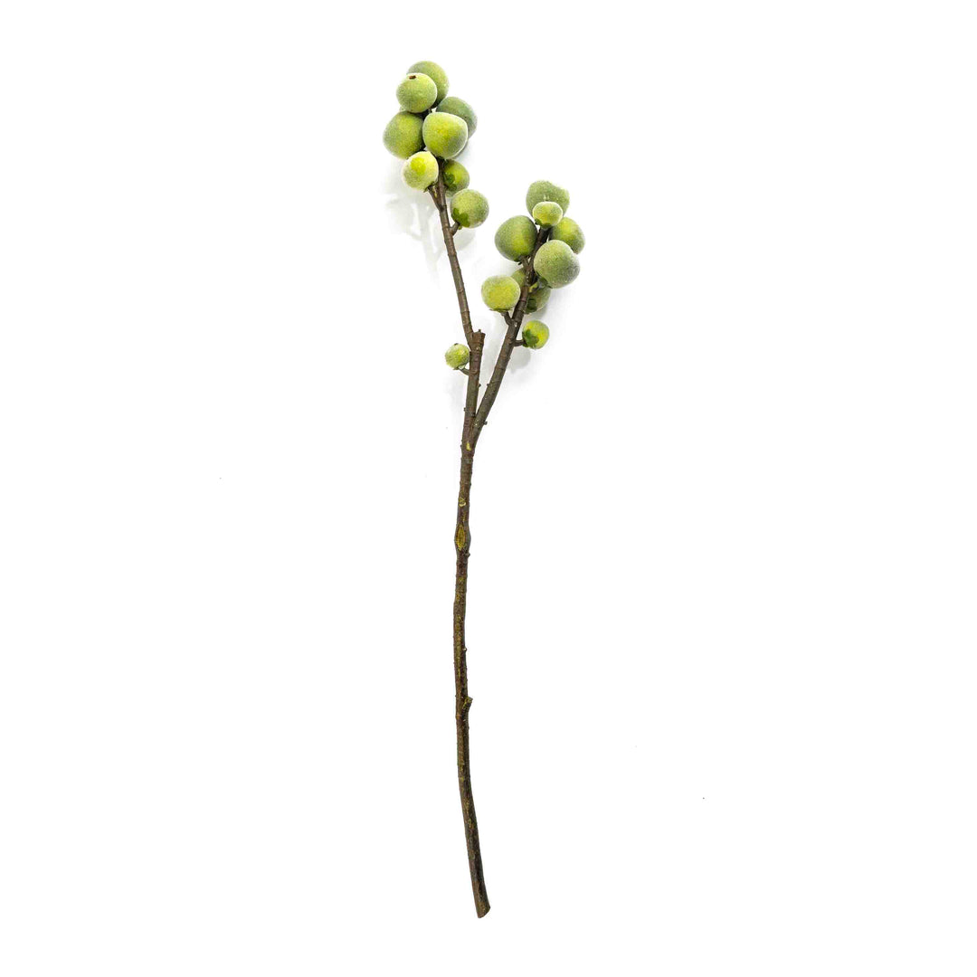 FAUX FIG STEM