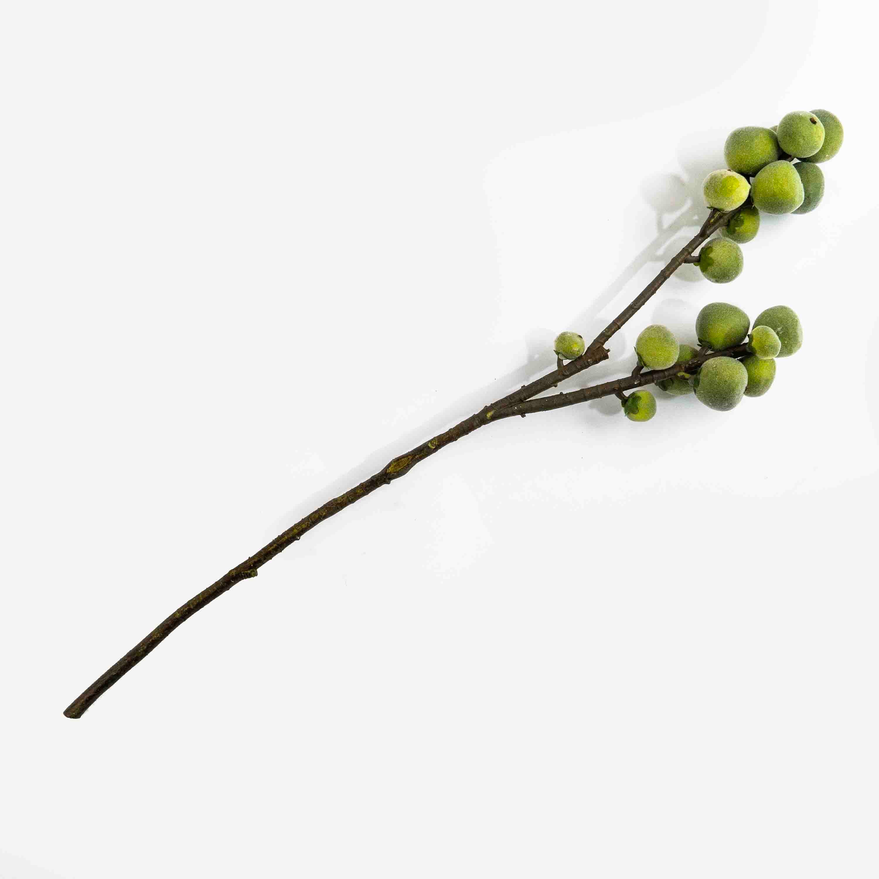 FAUX FIG STEM