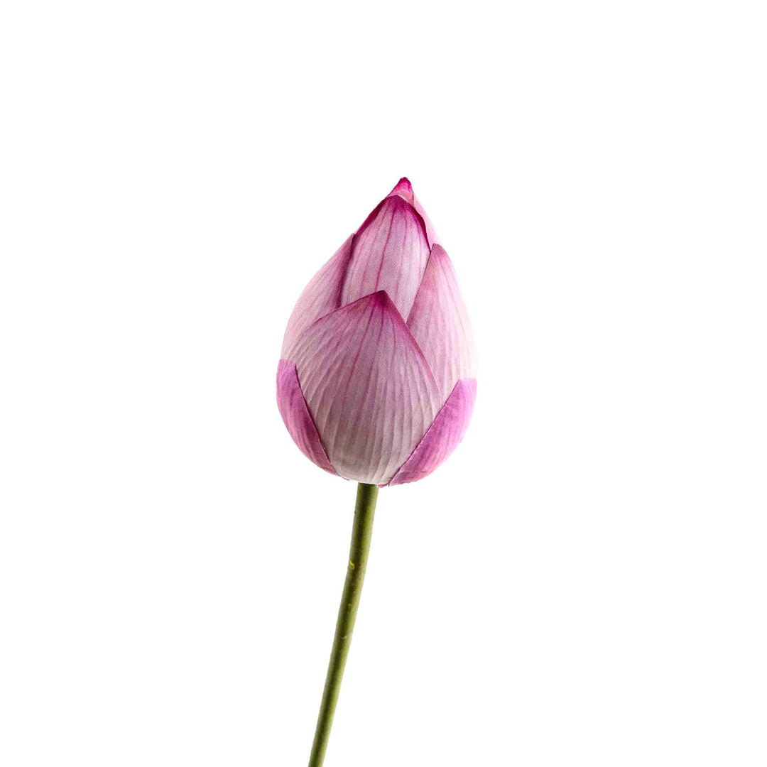 FAUX LOTUS BUD STEM BLUSH