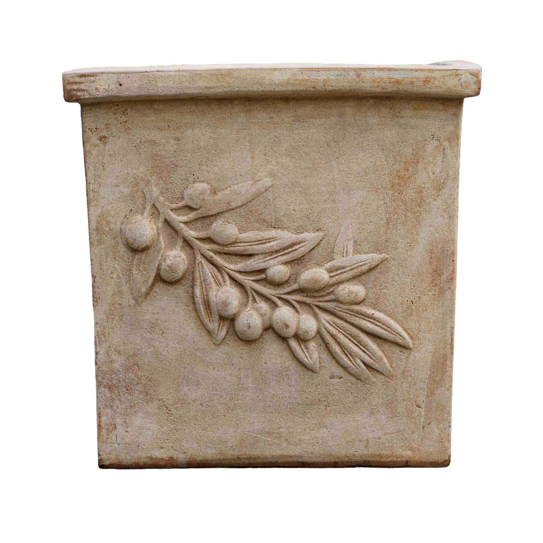 Sunbaked Terracotta Pot