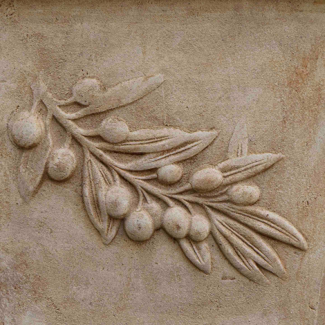 Sunbaked Terracotta Pot