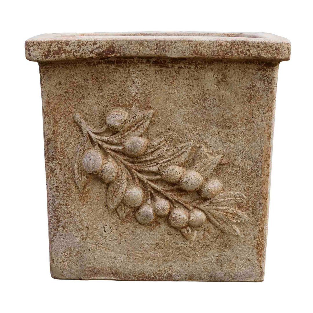 Sunbaked Terracotta Pot