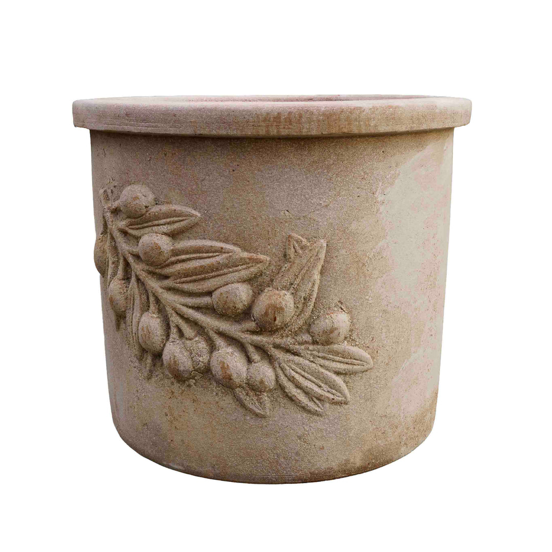 Olive Leaf terracotta Pot