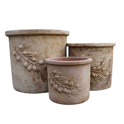 Olive Leaf terracotta Pot