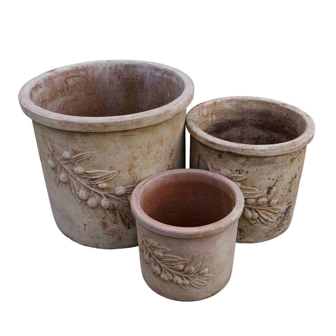 Olive Leaf terracotta Pot