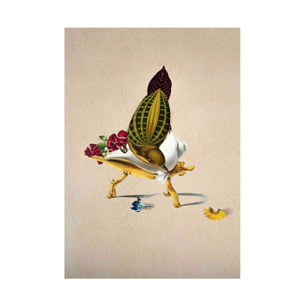 Finch Bird Poster A4