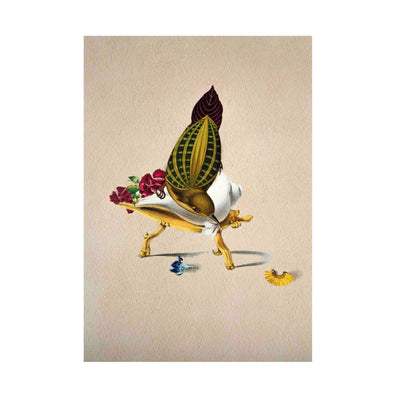 Finch Bird Poster A4