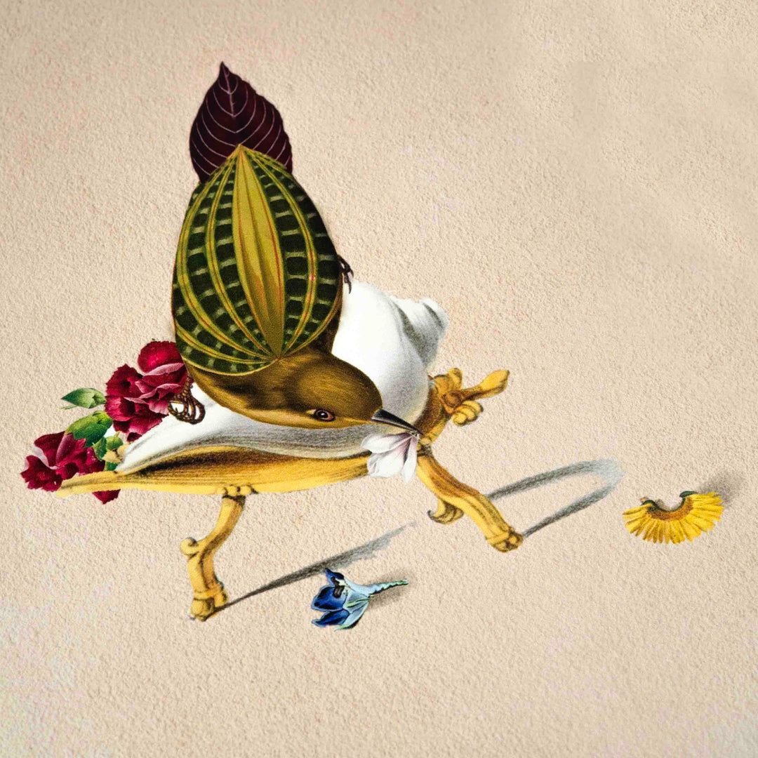 Finch Bird Poster A4