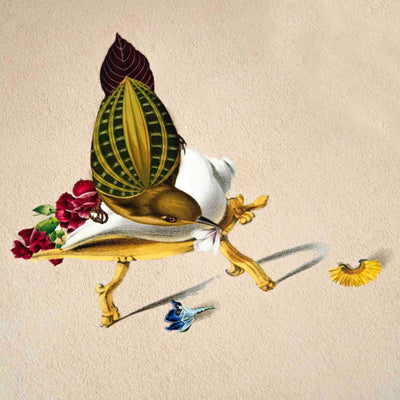 Finch Bird Poster A4