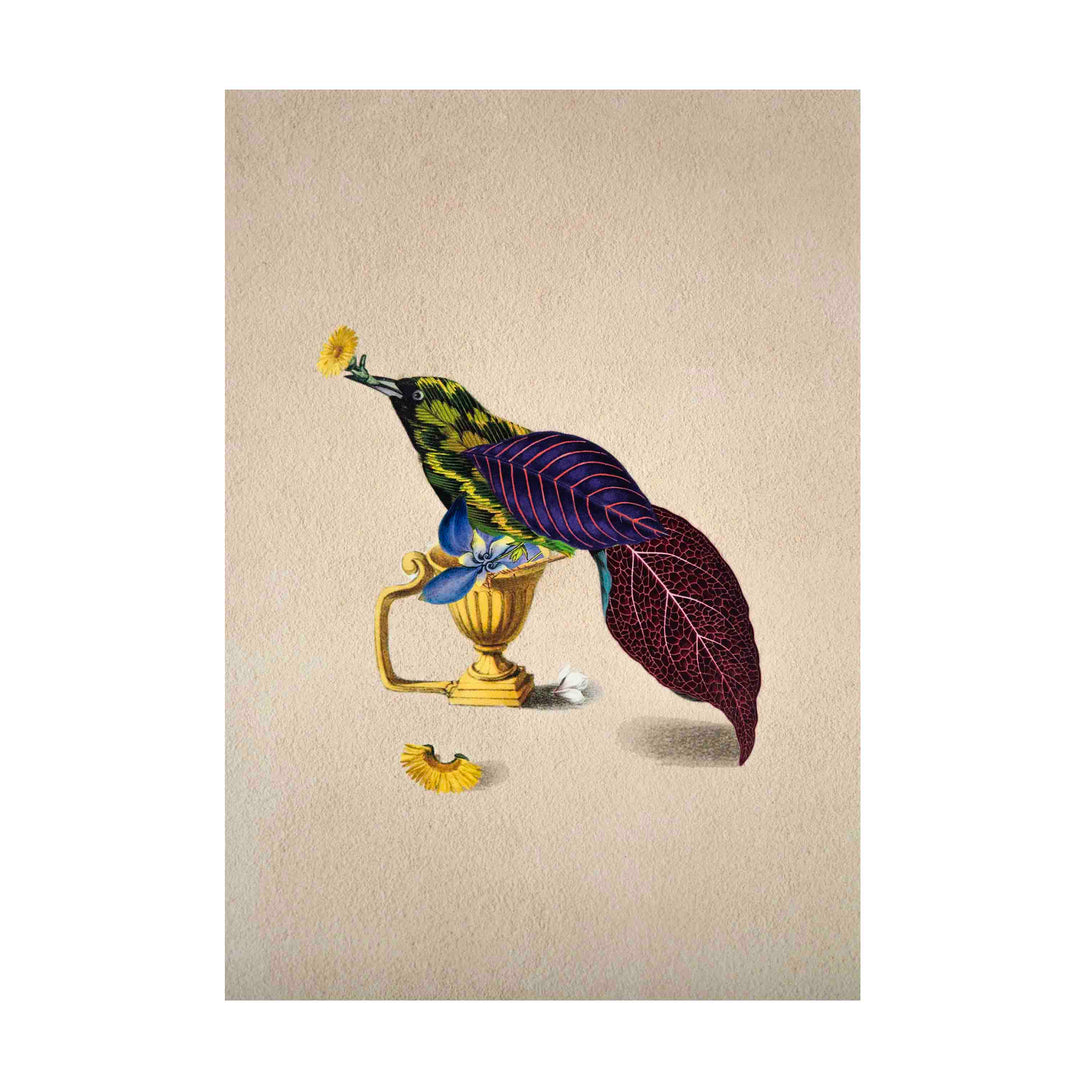 Cuckoo Bird Poster A4