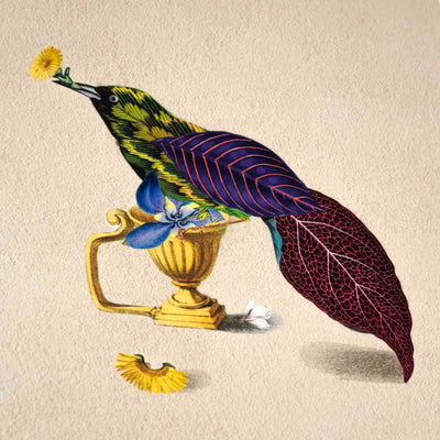 Cuckoo Bird Poster A4