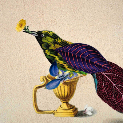 Cuckoo Bird Poster A4