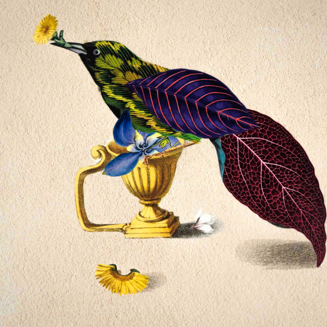 Cuckoo Bird Poster A4