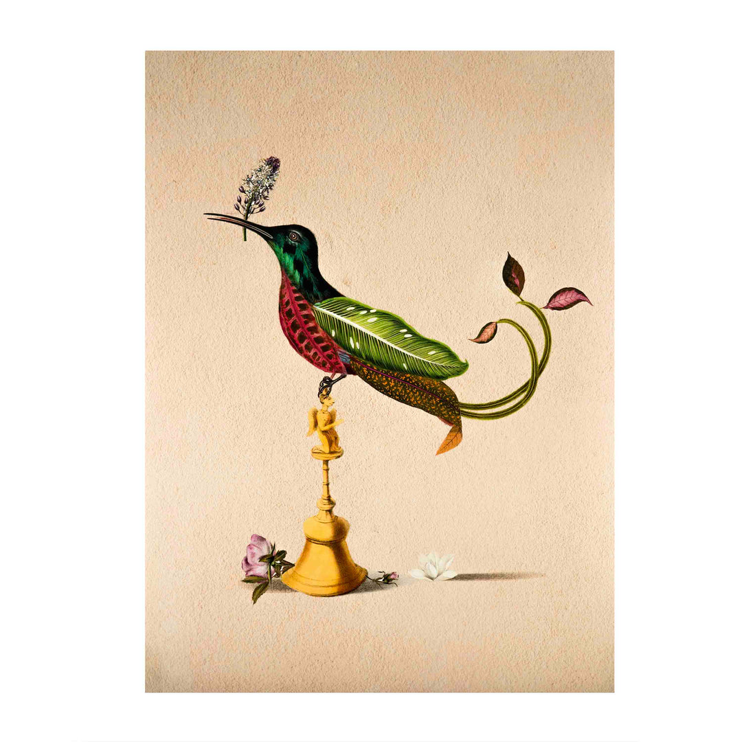Woodpecker Bird Poster A2