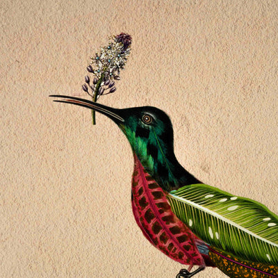 Woodpecker Bird Poster A2