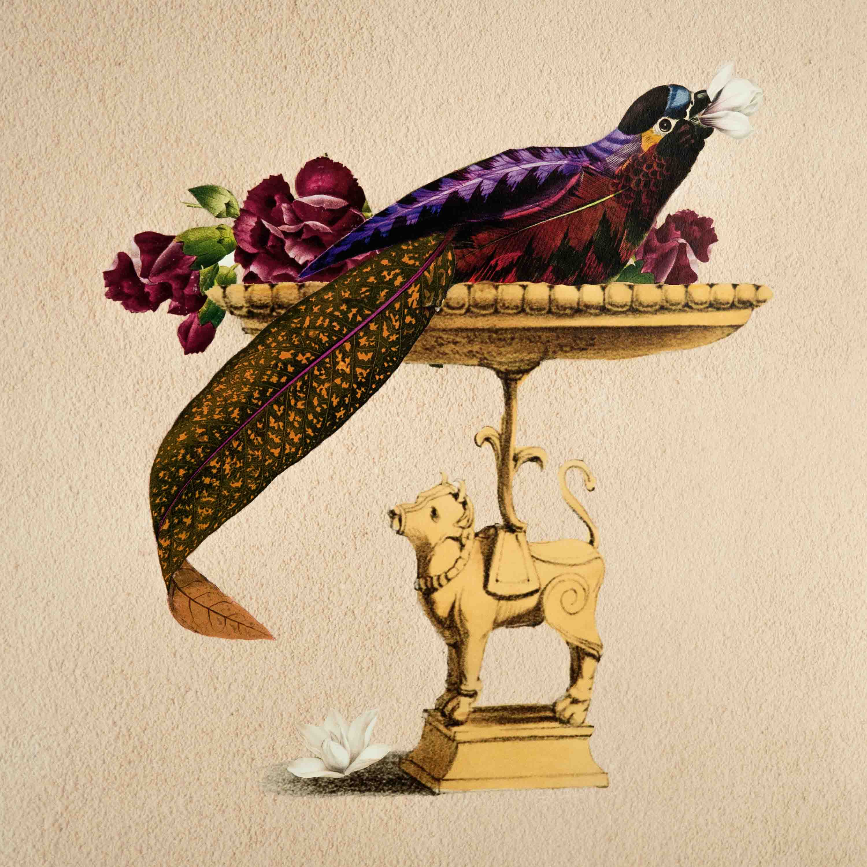 Robin Bird Poster A2