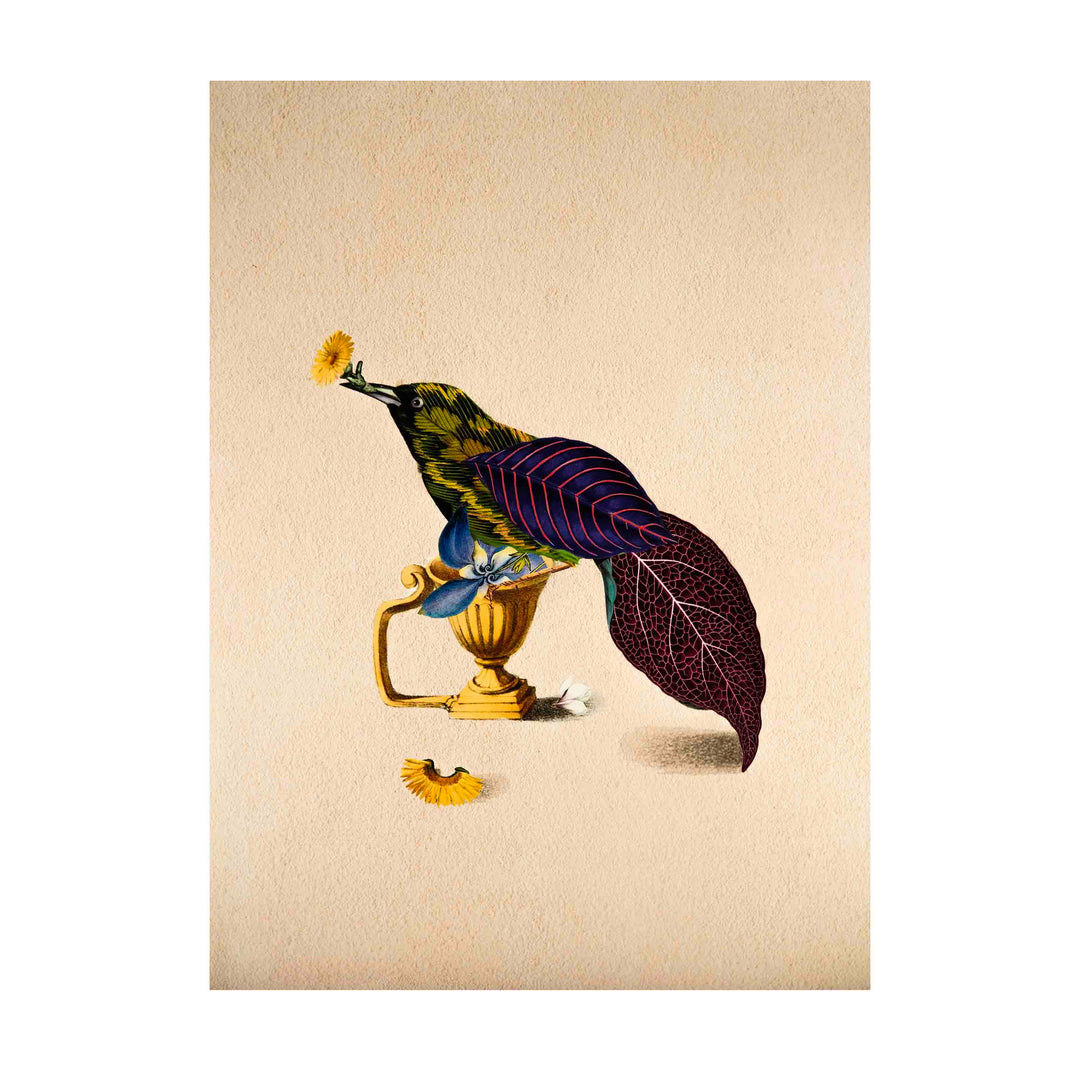 Cuckoo Bird Poster A2