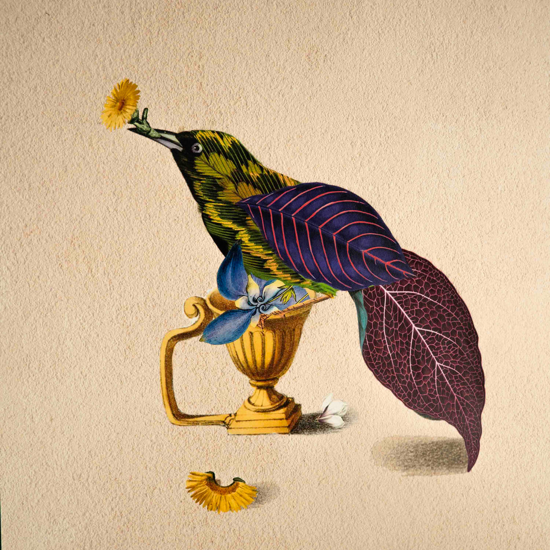 Cuckoo Bird Poster A2