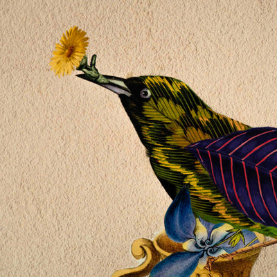 Cuckoo Bird Poster A2
