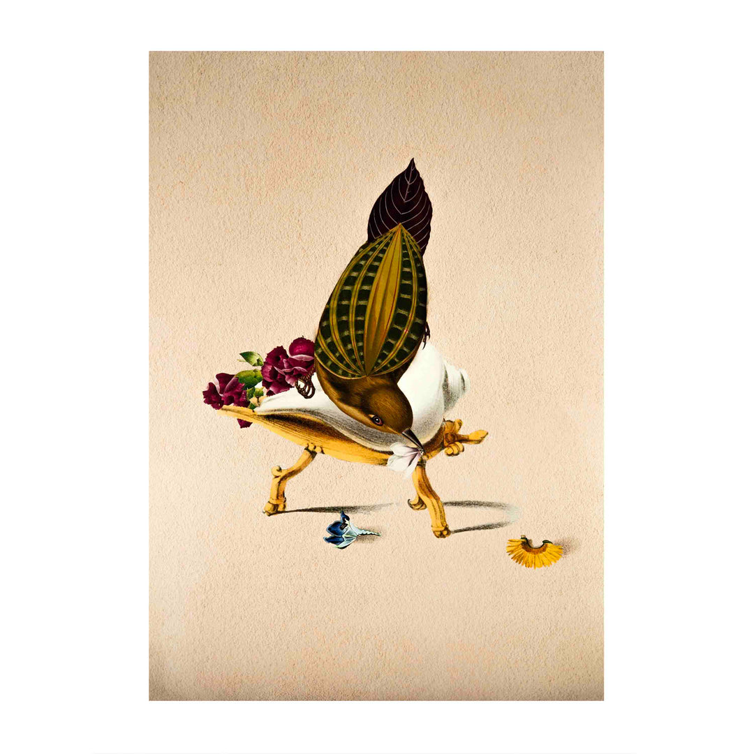 Finch Bird Poster A2