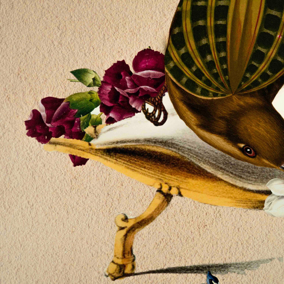 Finch Bird Poster A2