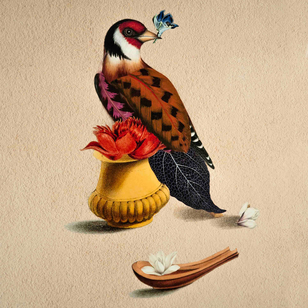 Sparrow Bird Poster A2