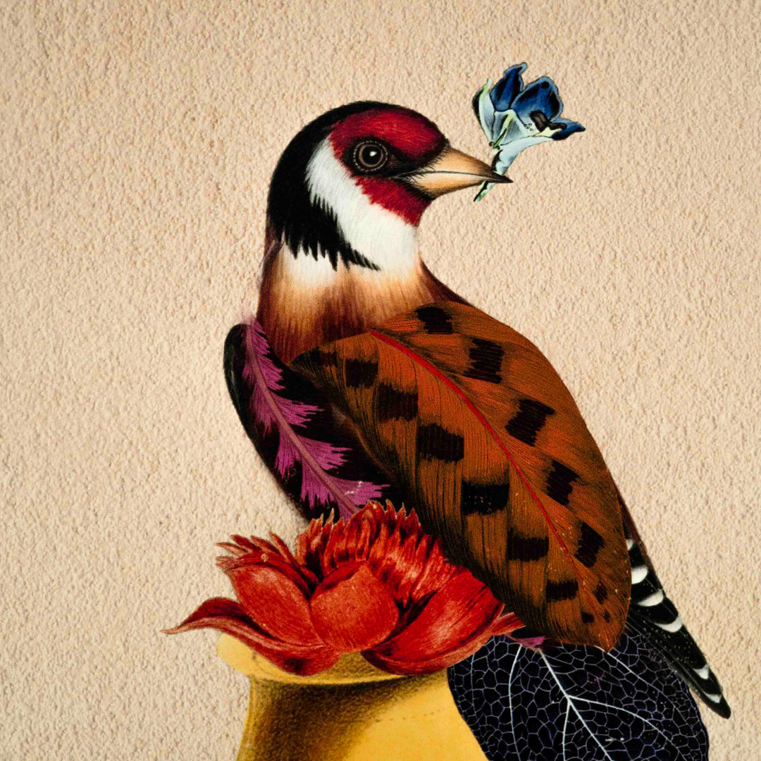Sparrow Bird Poster A2