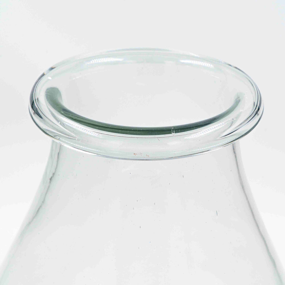Screne Glass Vase