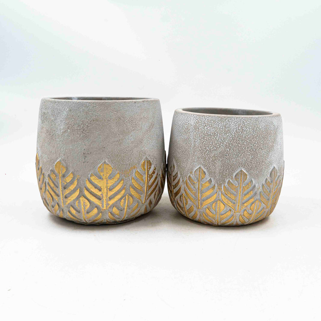 Hele Concrete Pot