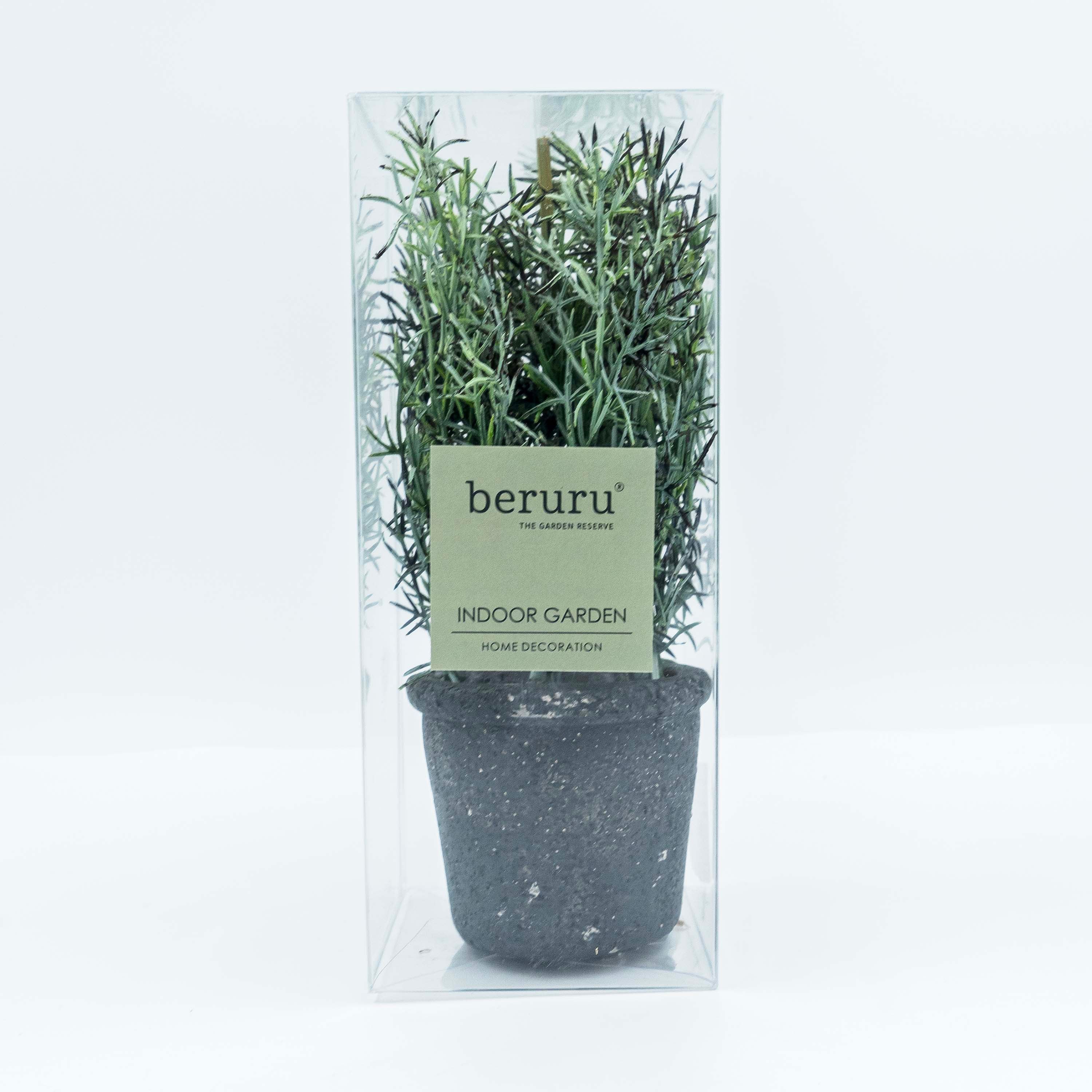Plant with Pot