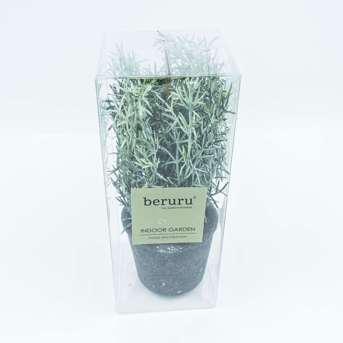 Plant with Pot