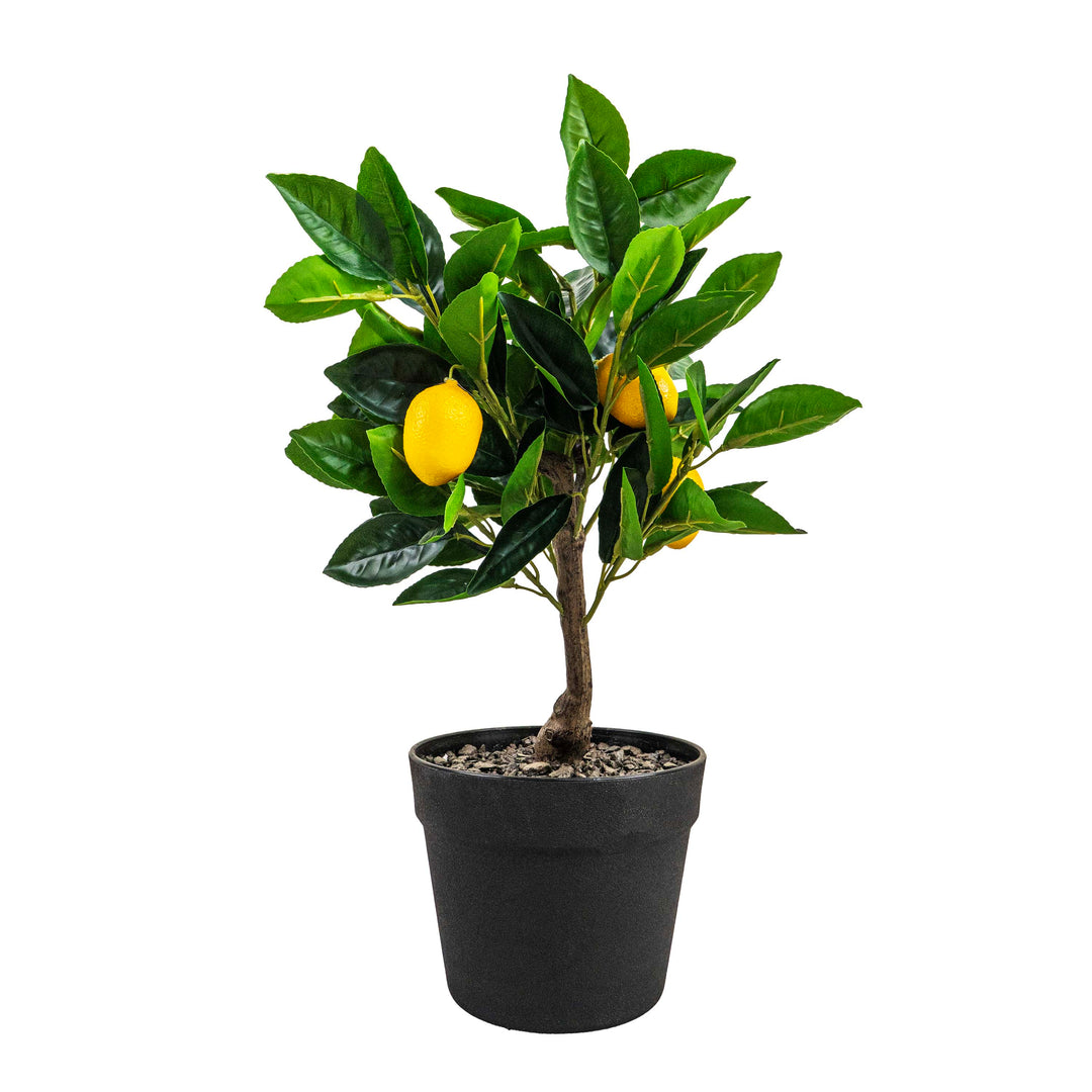 LEMON BONSAI FAUX PLANT
