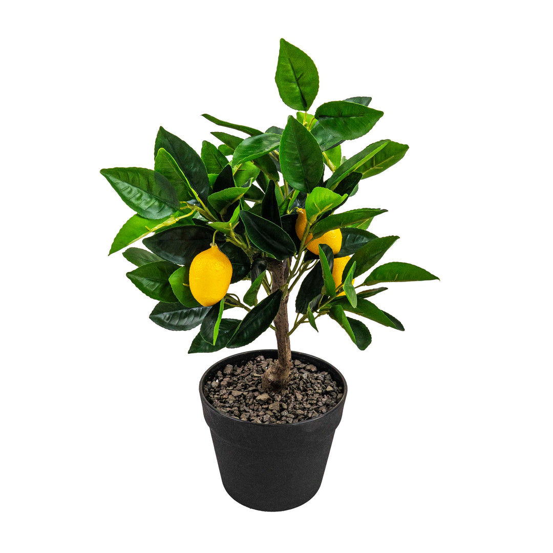 LEMON BONSAI FAUX PLANT