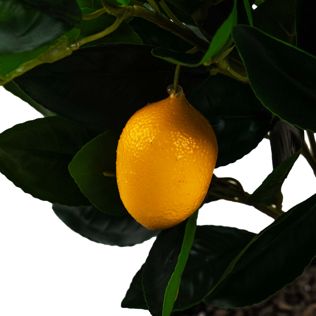 LEMON BONSAI FAUX PLANT