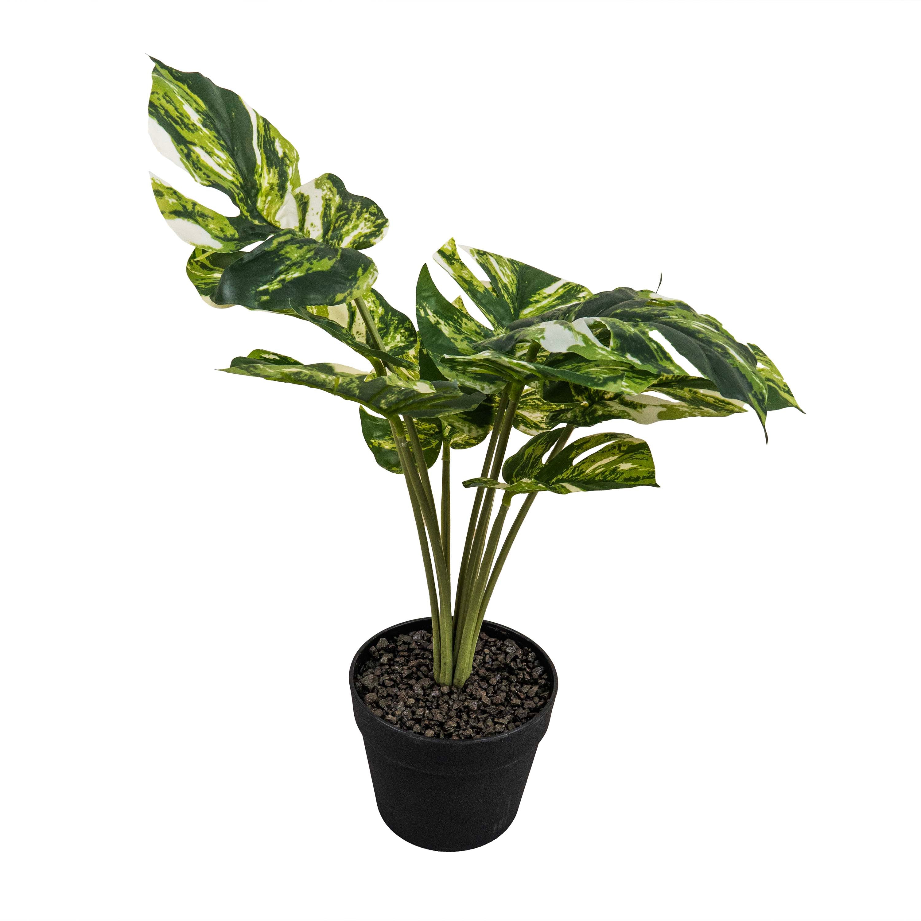 PINSTRIPE CALANTHEA FAUX PLANT
