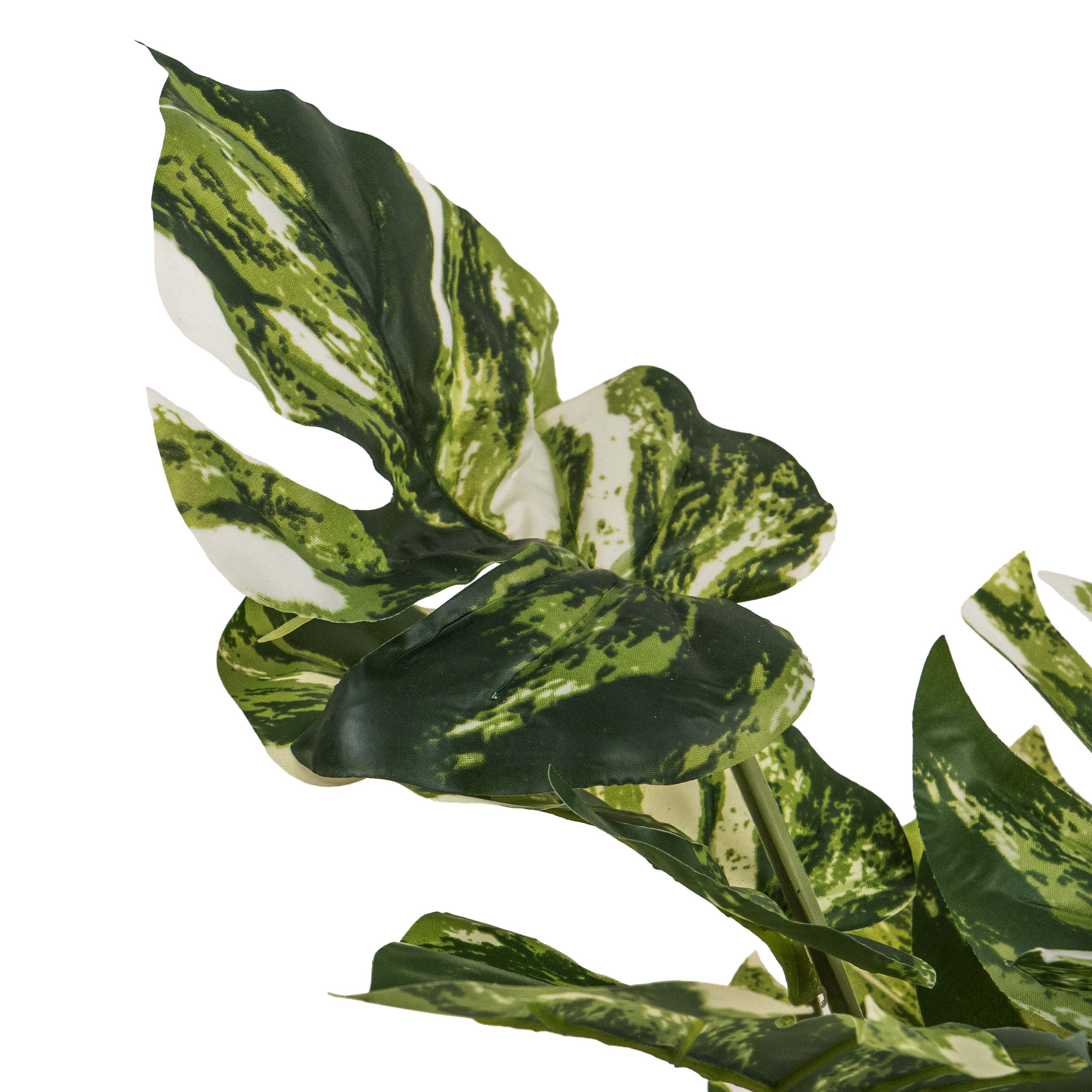 PINSTRIPE CALANTHEA FAUX PLANT