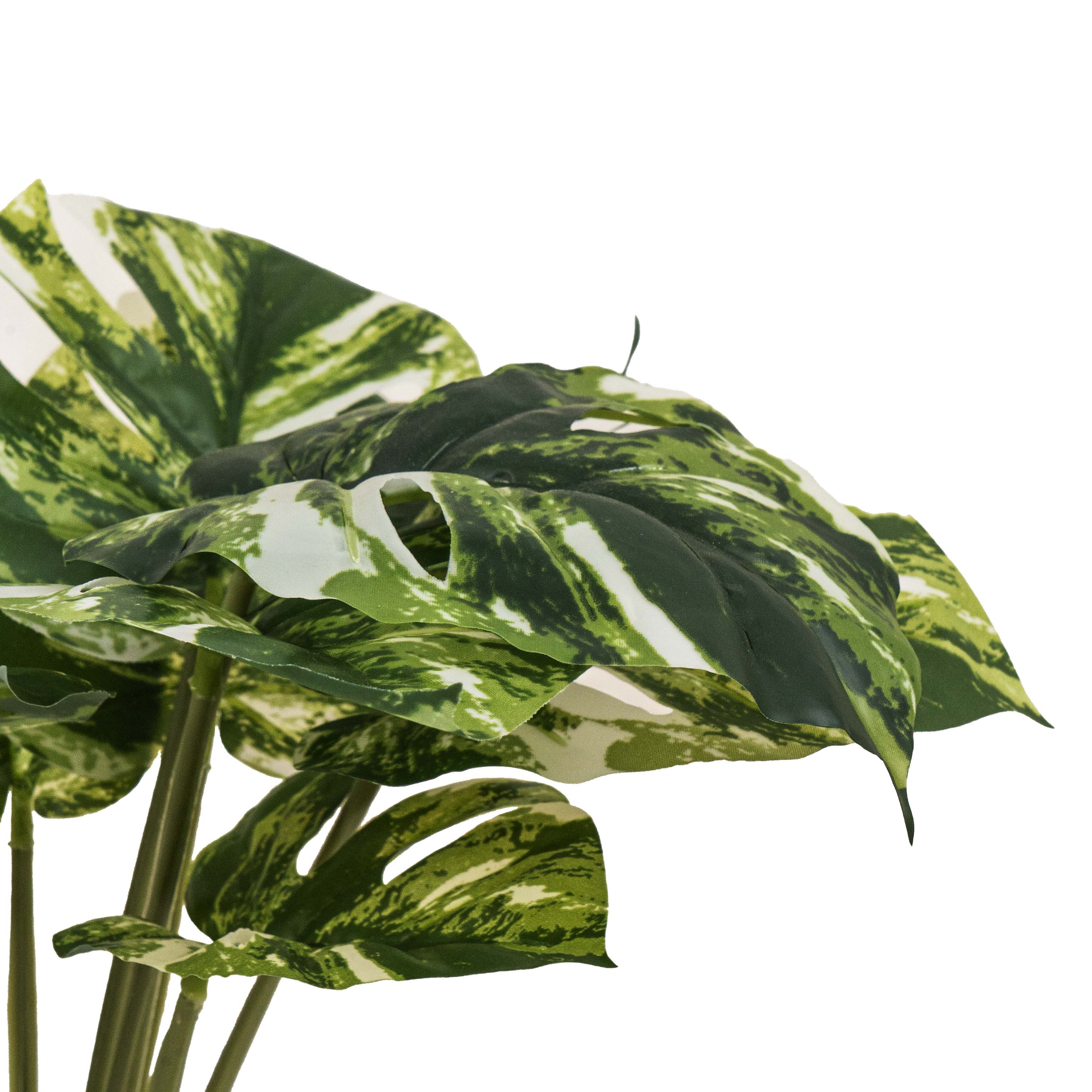 PINSTRIPE CALANTHEA FAUX PLANT