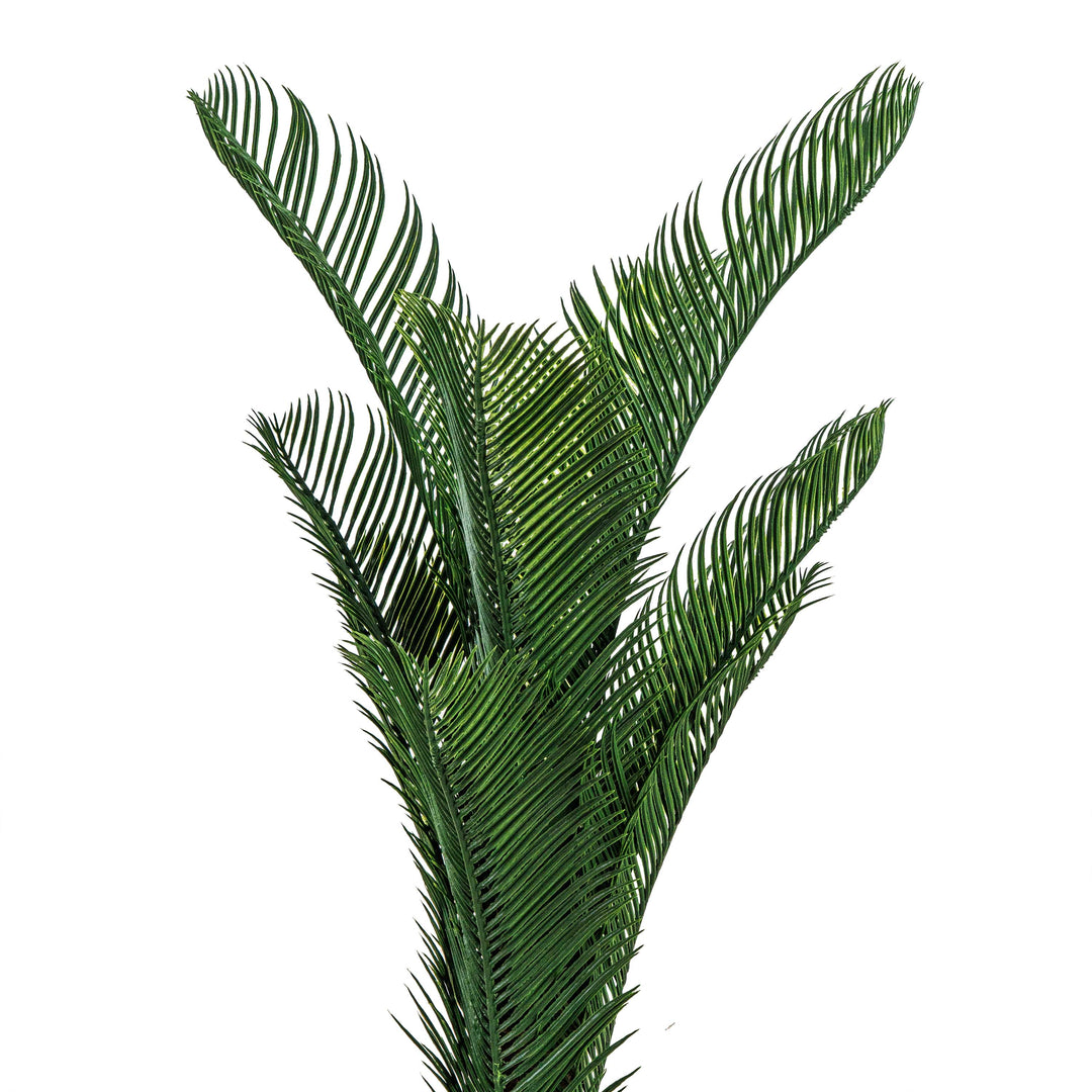 SAGO CYCUS FAUX PLANT