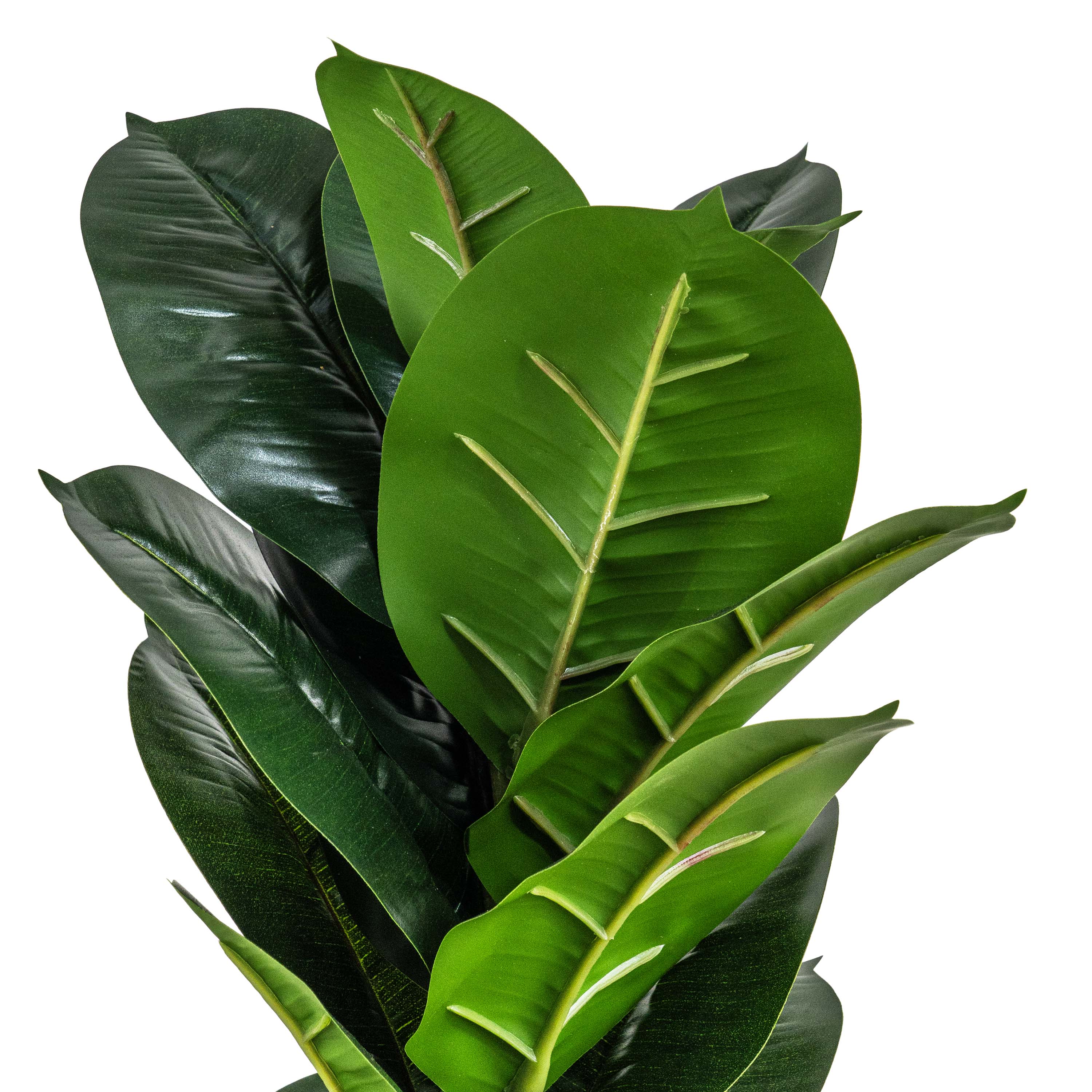 RUBBER FAUX PLANT