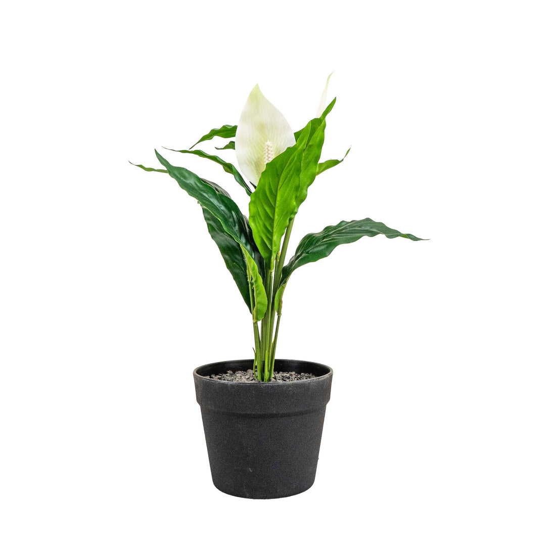 PEACE LILY FAUX PLANT